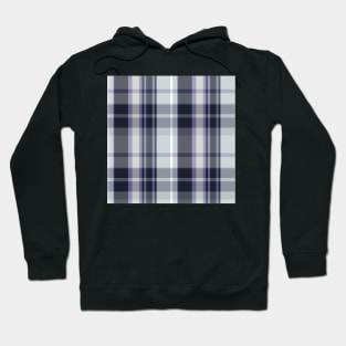 Winter Aesthetic Conall 1 Hand Drawn Textured Plaid Pattern Hoodie